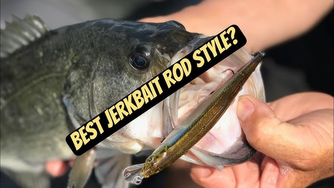 The Cull Ep 49 - Spinning Rods are Better for Jerkbaits with Matt