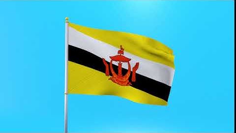 Brunei flag animated low poly 3D model