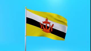 Brunei flag animated low poly 3D model News