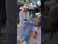 Merry Menagerie Penguins - Disney’s Animal Kingdom #disney #shorts