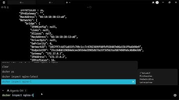 25 11 16, 인프라 기초, Docker(도커), 22강, 도커 컨테이너의 정보를 확인하는 방법