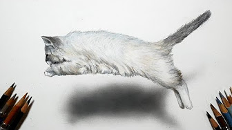 動物を描いてみたシリーズ 色鉛筆画 Draw Animals Youtube