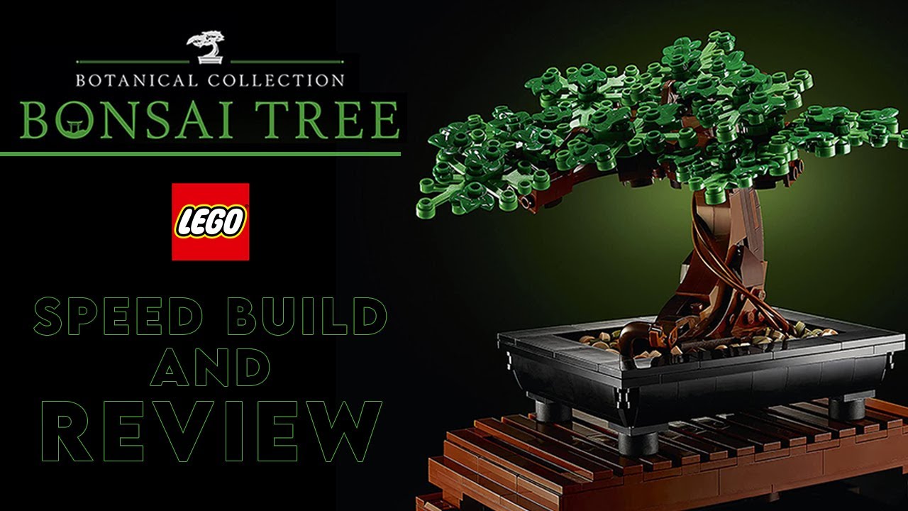 LEGO Botanical Collection 10281 Bonsai Tree review and gallery
