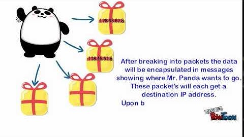 Routing Table Tutorial