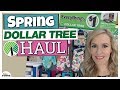DOLLAR TREE HAUL + Shop with ME || SPRING 2018