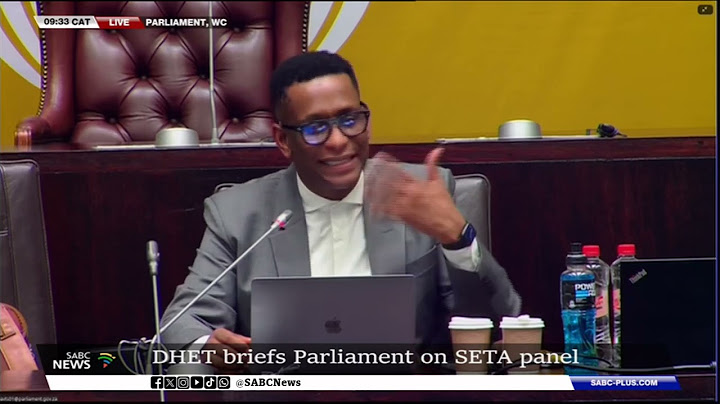 DHET briefs Parliament on SETA panel