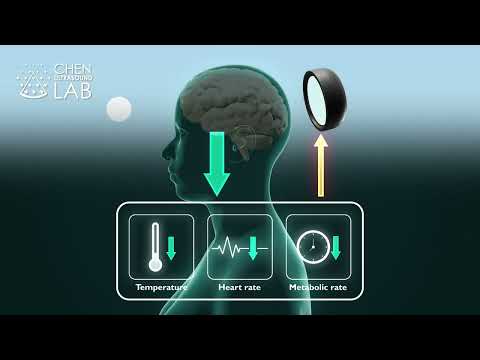 Induction of a torpor-like state with ultrasound