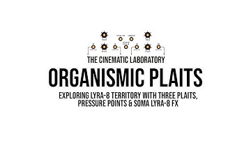 Exploring Soma Lyra-8 territory on a modular system
