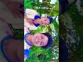 # soht video and sojoy Mardi pobn murmu upesh murmu