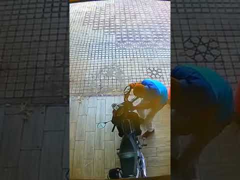 شفار خطير كولشي برطجي