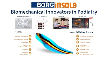 BORGinsole Concept