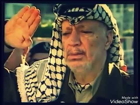 حي بالشهامة فلسطين