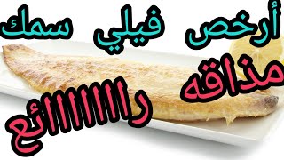 تعرف على أرخص فيلي سمك أبيض!! السمك الذي يجهله اغلب عشاق الأسماك!!