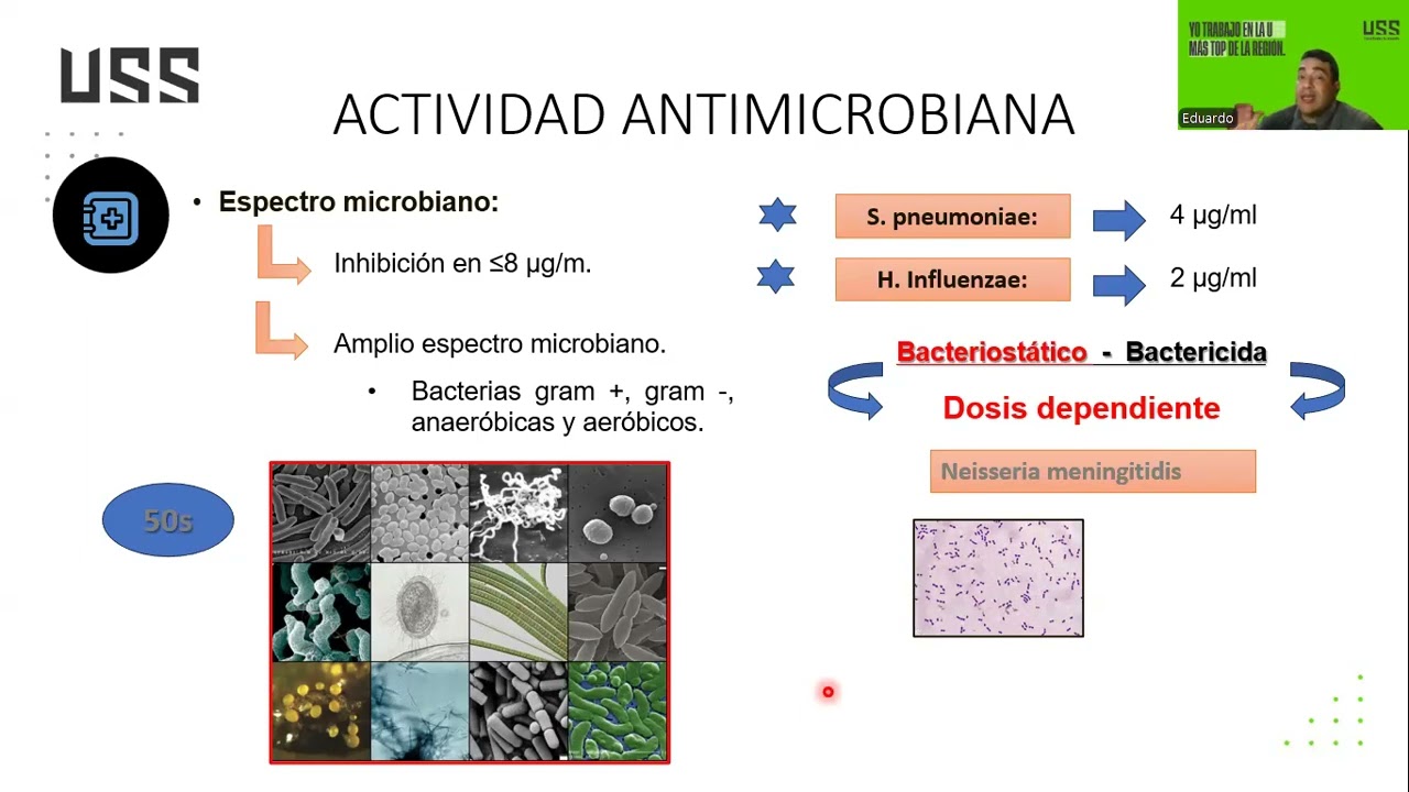 Cloranfenicol y vancomicina