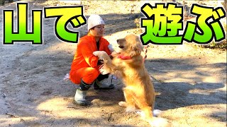 山で遊んでくれる人を待つゴールデン