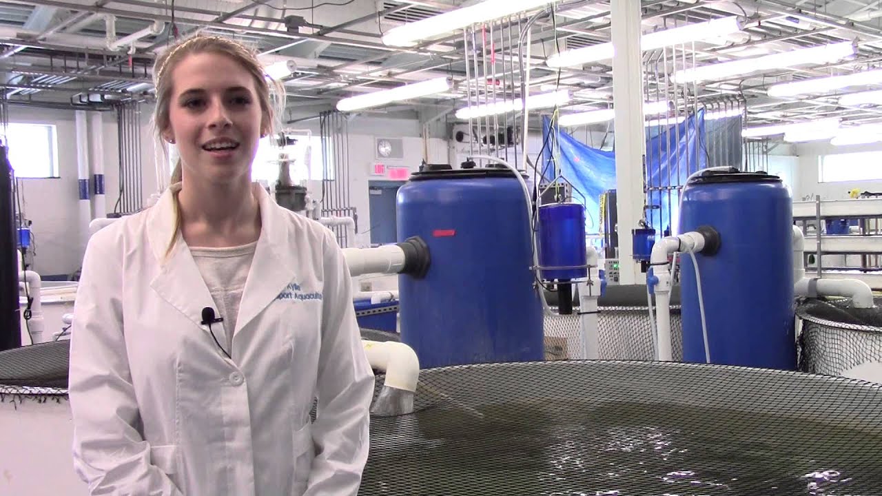 Bridgeport Regional Aquaculture Science and Technology Education Center