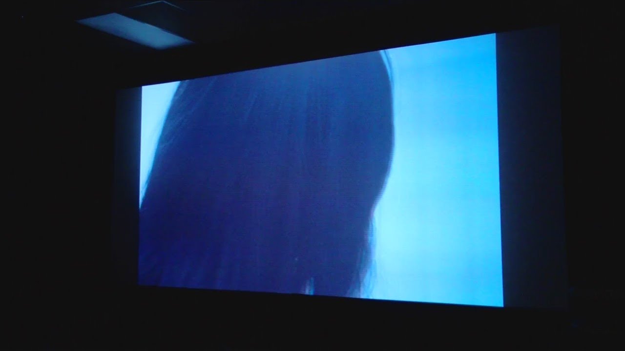 The Moxie Hosts Screening of Film Highlighting Serious Problem