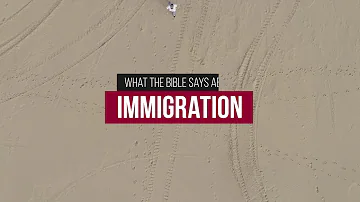 What does a vineyard symbolize in the Bible?
