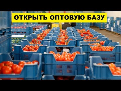 Как открыть оптовую базу | Бизнес идеи | Оптовая торговля как бизнес