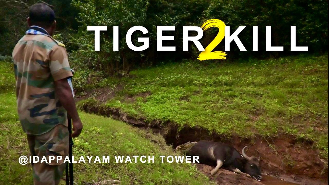 Idapalayam Watch Tower Part 2; 4K UHD @trippingvibes
