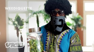 Inside a Black Market Grow House in Atlanta | WEEDIQUETTE