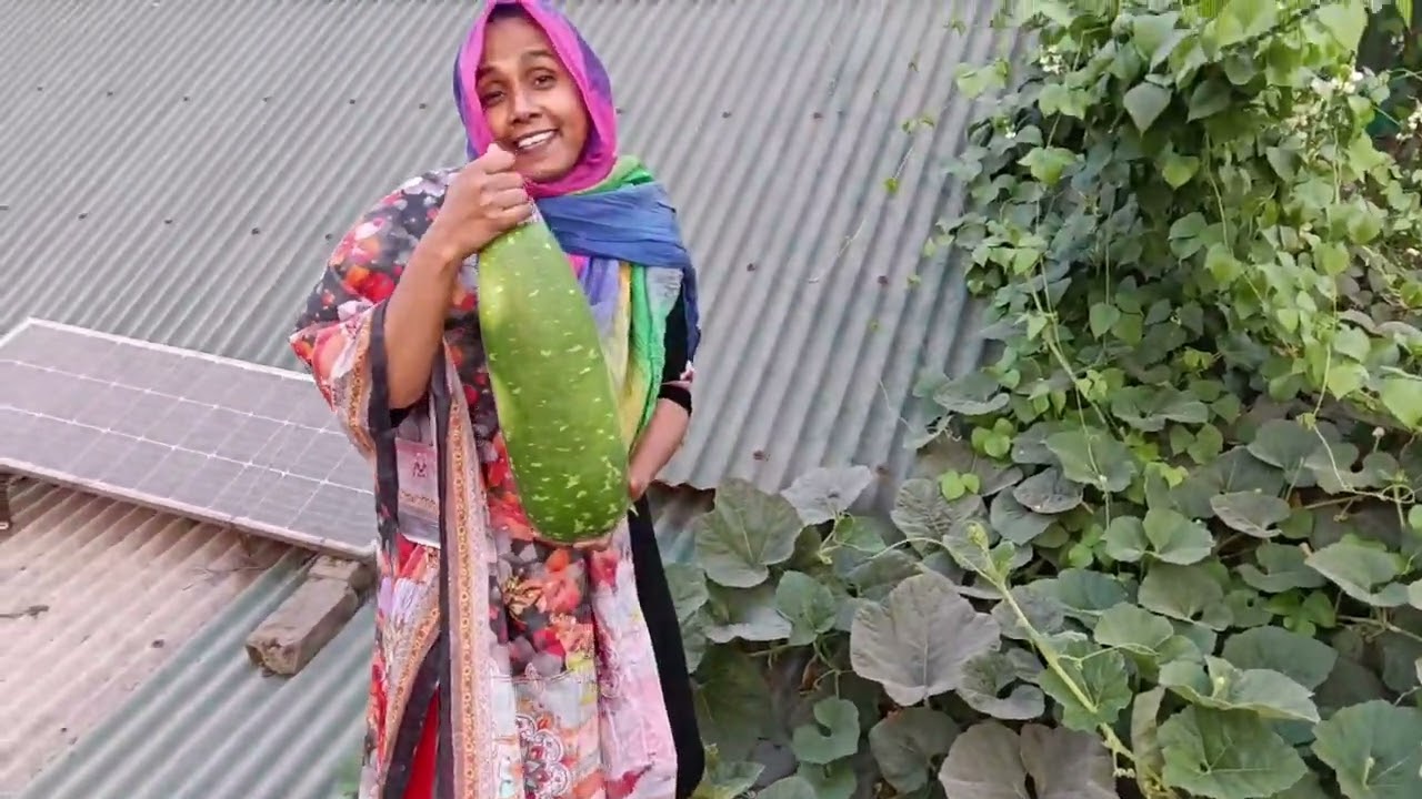 লাউ টিকানোর গোপন টিপস। 😊
