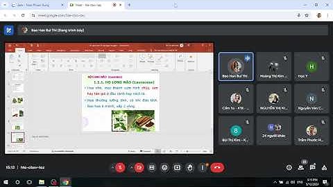 BÀI 10 PHÂN LOẠI LỚP NGỌC LAN PHẦN 1/MÔN THỰC VẬT DƯỢC
