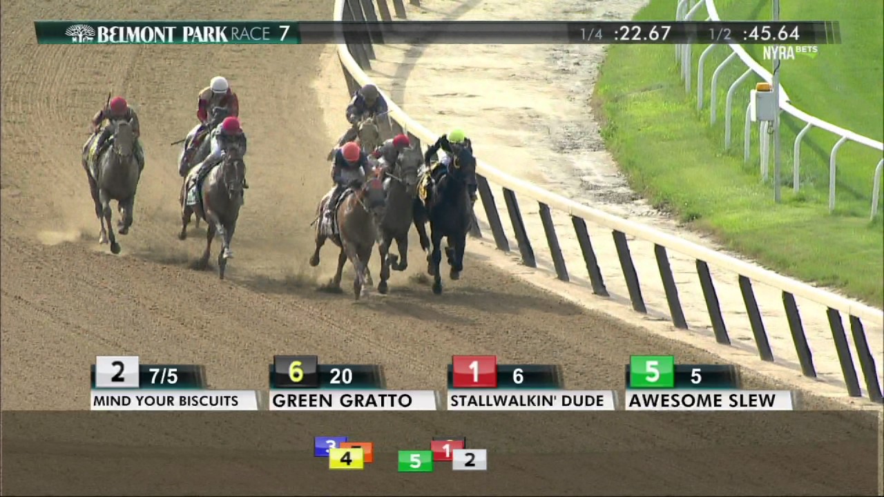 Mind Your Biscuits - 2017 Belmont Sprint Championship