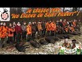 Deux saisons avec les "Dianes de Saint Hubert", chasse en battue avec les chasseresses!