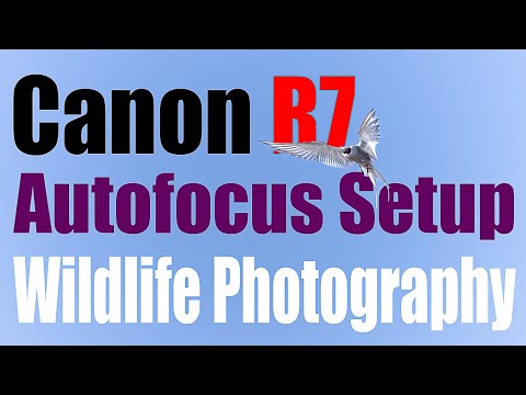 Canon R7 -