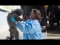 100+ Puppies Seized in Conway