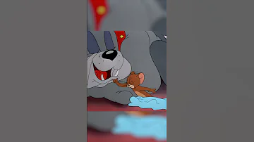 Pov It S Family Movie Night Tom Jerry Wbkids 