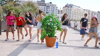 Bushman Prank - Шутки на пляже