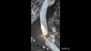 картинка: Ошибка 2А82. Чистка сеток и замена электромагнитных клапанов на BMW x5 e70 n52b30