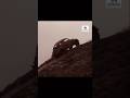 Comercial Militar VW Fusca de época #volkswagen #käfer #hayburner #beetle #volkslove #history