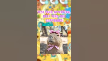 WOW Сapybaras Hidden Objects Game!! #findItspyhiddenobjects #hiddenobjectgame #gaming #games #puzzle