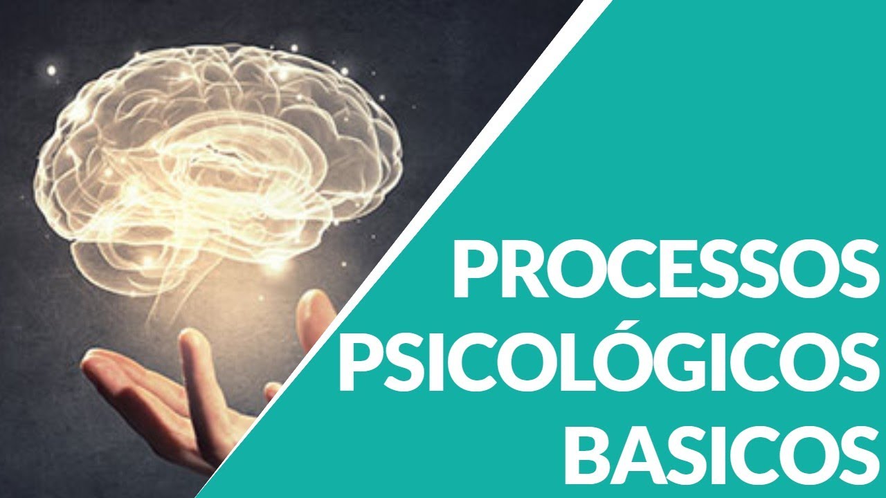 PROCESSOS PSICOLOGICOS BASICOS YouTube PROCESSOS PSICOLOGICOS BASICOS YouTube