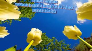 Video thumbnail of "Carlos Arellano - Maria Eugenia (Con letra)"