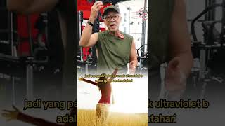 Download Lagu Jam Terbaik untuk Jemur Dapatkan Vitamin D, Jangan Sampai Salah Waktu ! #vitamind #sinarmatahari MP3 Download Lagu Jam Terbaik untuk Jemur Dapatkan Vitamin D, Jangan Sampai Salah Waktu ! #vitamind #sinarmatahari MP3