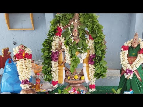 54மாத ஆற்காடுகங்காதரசிவ 🛕 திருவாசகம் முற்றோதல்அம்பளத்தரசன்குழு  Vaithiyarsivayogi Balaji TV is live