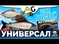 Русская Рыбалка 4 - Стрим Прокачка УНИВЕРСАЛА для 6-го этапа Стрим #8 Ихтиолог - Белая - Ручейник