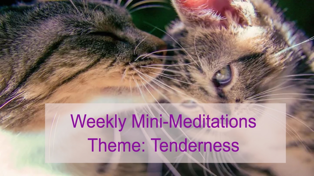 coping with stress in a changing world Weekly Short (Mini) Meditation: Tenderness