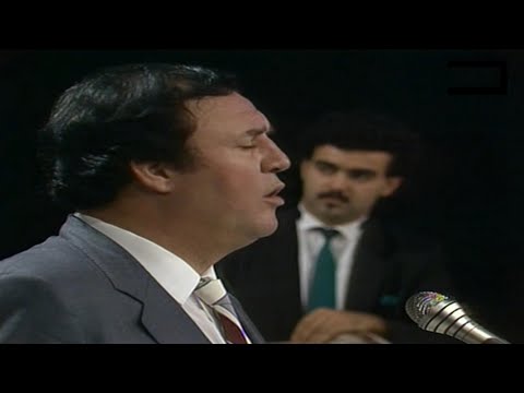 فهد بلان الفين سلام