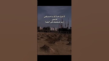 #تلاوة_خاشعة #تلاوة_هادئة #إسلام_صبحي #اسلام_صبحي  #سورة_المؤمنون #قرآن_كريم #foryou