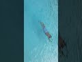 #youtube #shorts #swimming #dream #water #orlando #usa swimming 🏊‍♂️ ♥️ 😀