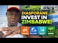 Build Zimbabwe While Building Your Wealth
