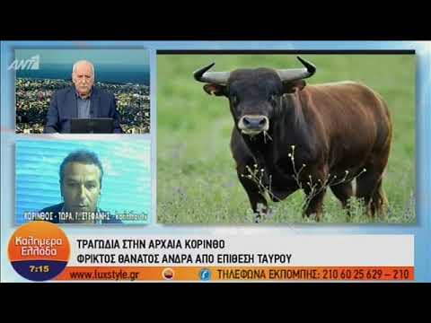 Κόρινθος: Τον σκότωσε αφηνιασμένος ταύρος