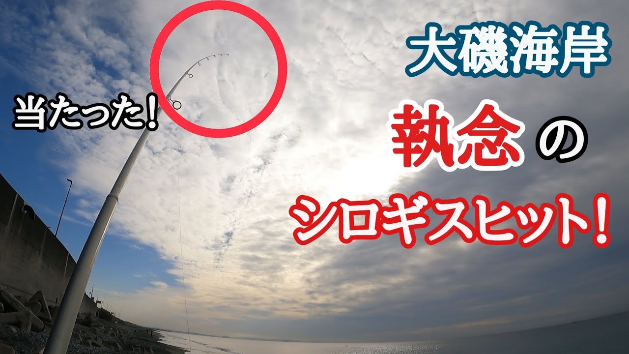 大磯海岸 シロギス釣り 移動しながら釣れる場所を探したら