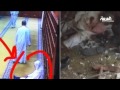 صورة مسن مصليا قبل تفجير الصوابر ميتا بعده