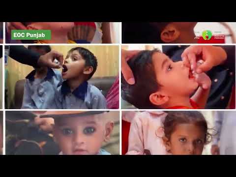 How many children were vaccinated during the campaign in Punjab ?